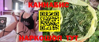 сатива Ирбит