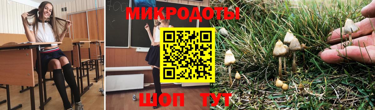 купить   Псилоцибиновые грибы прущие грибы  Вход с VPN  Салават 