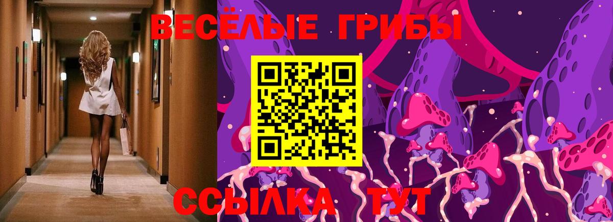 Галлюциногенные грибы Cubensis Салават